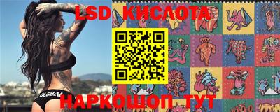 не бодяженный Донской