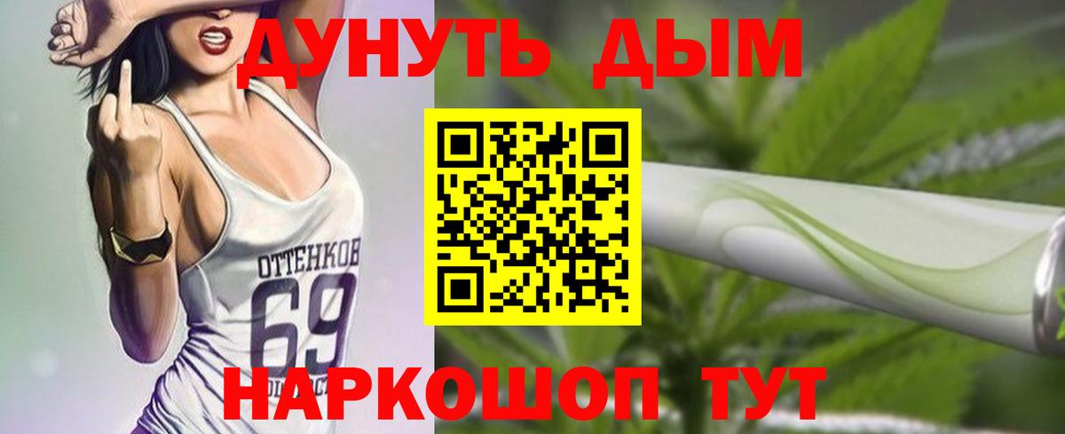 Конопля сатива Зерноград